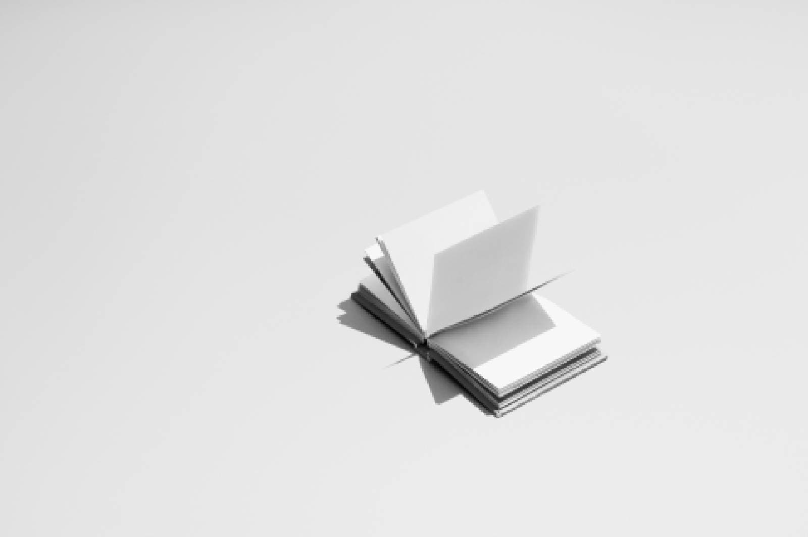 A blank open book