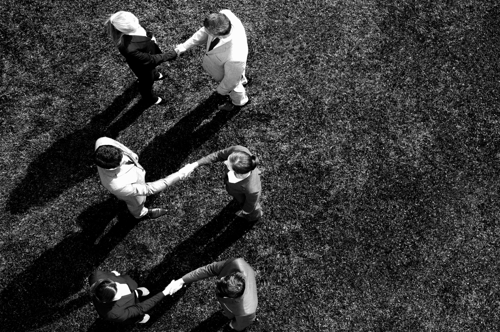Couples shaking hands standing in a row