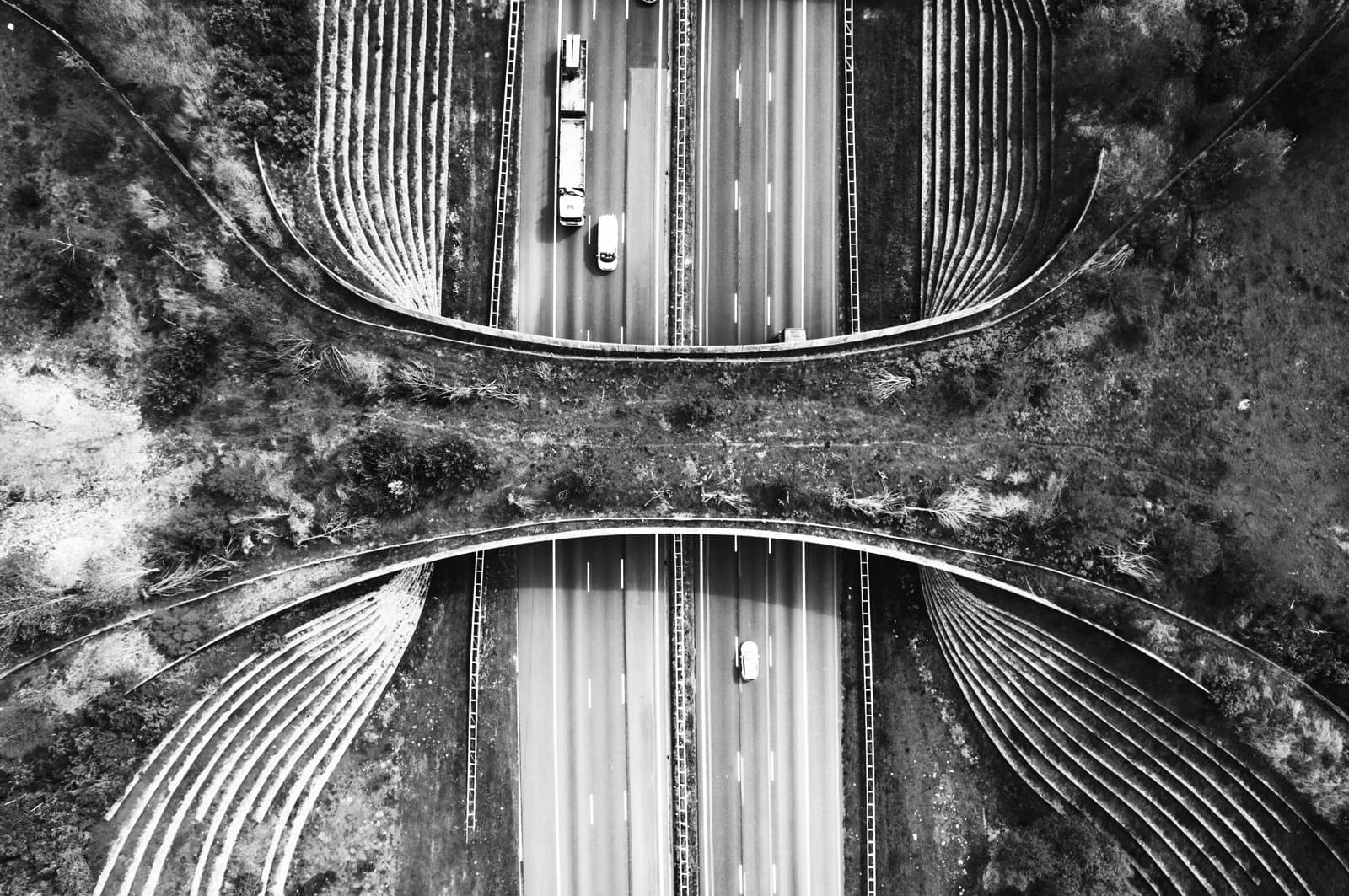 Aerial view by drone of the Ecoduct De Borkeld for the wildlife
