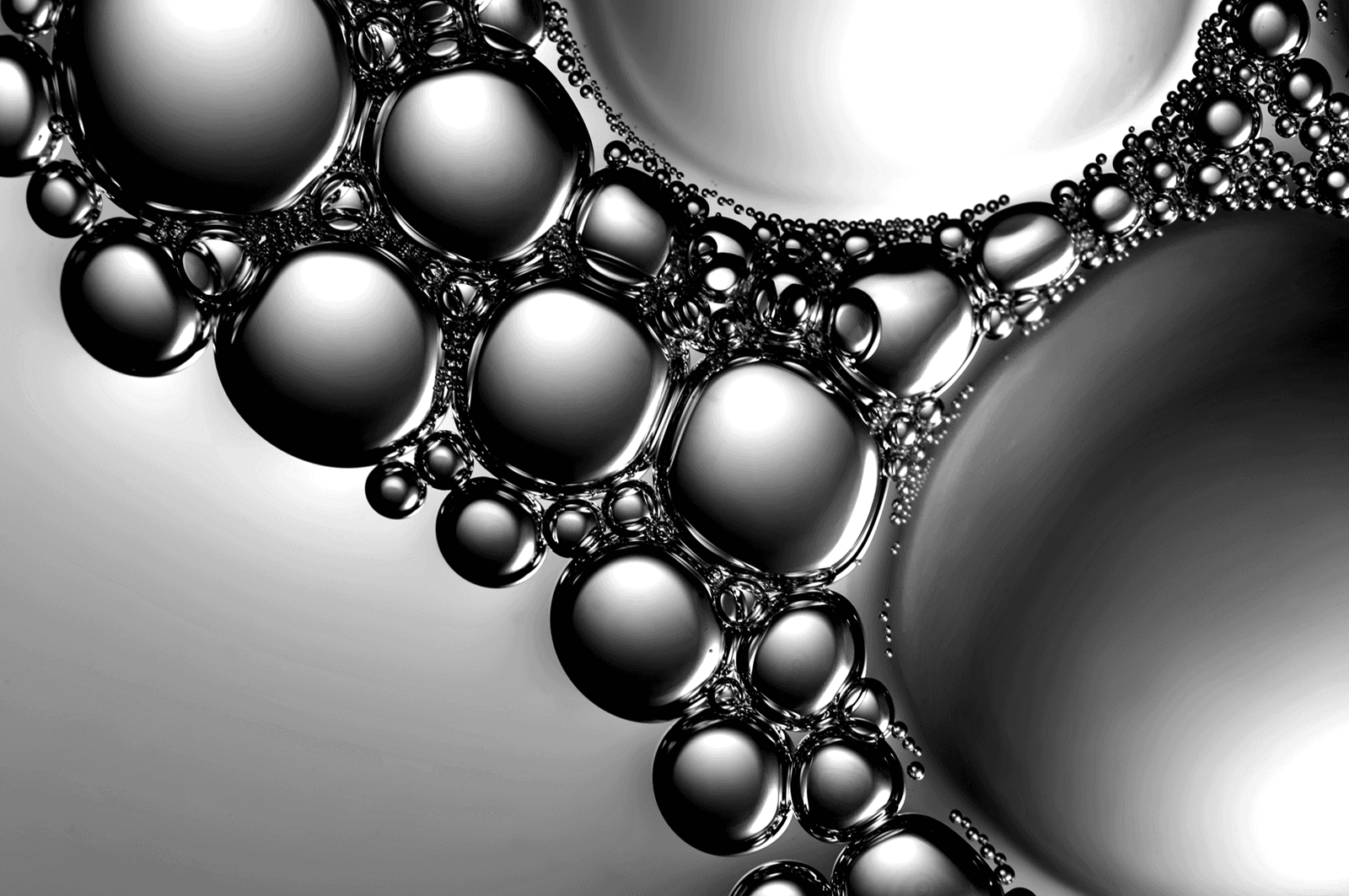 Close up of bubbles in a petri dish