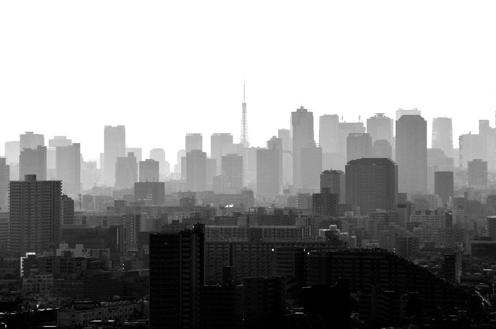 city view of tall buildings