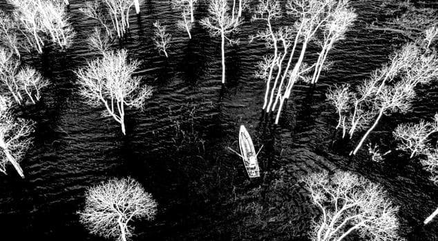 Aerial view of a canoe on a lake in Dalat, Vietnam