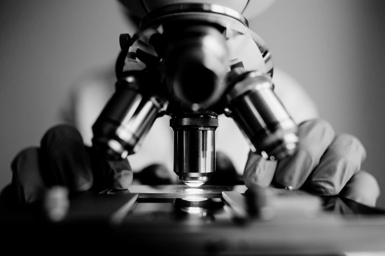 Test sample under microscope