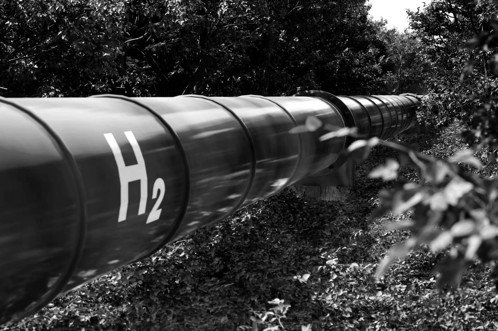hydrogen pipeline labelled ‘H2’ running through a wooded area.