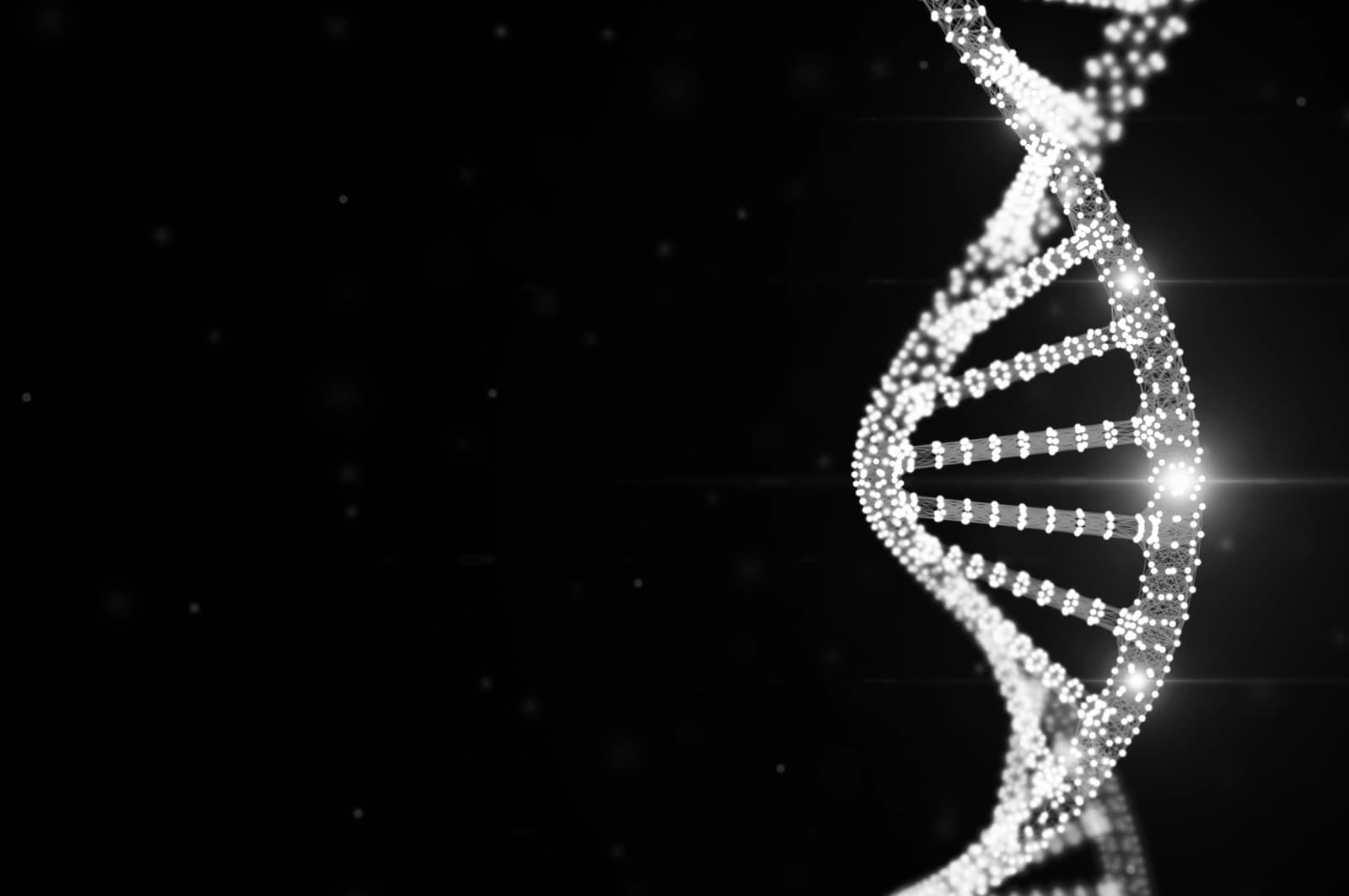 digital dna